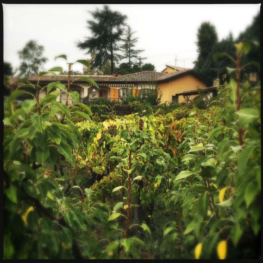 Pachamama Villa Nicolosi Exterior photo
